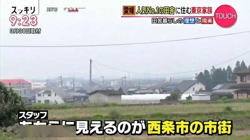 西条市的特色是郊区离市区很近