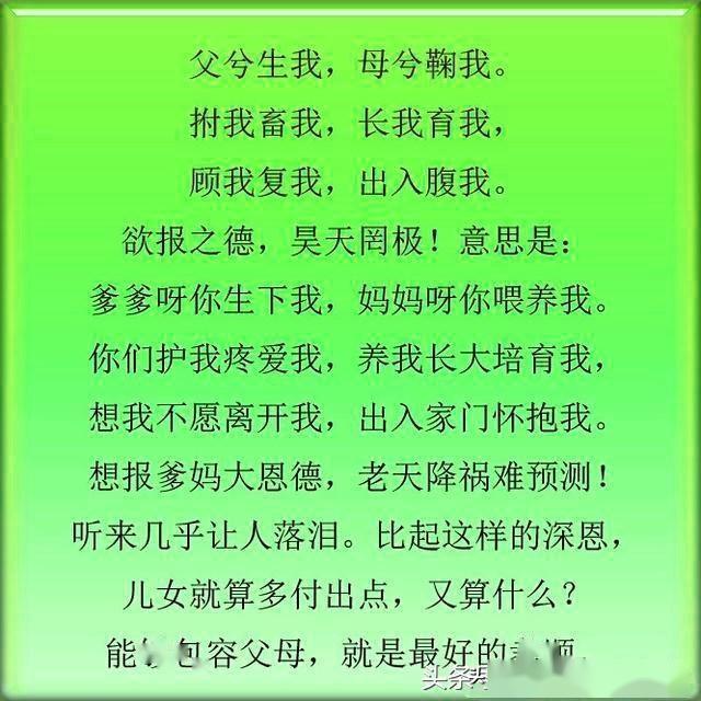 善待老人,就是善待明天的自己