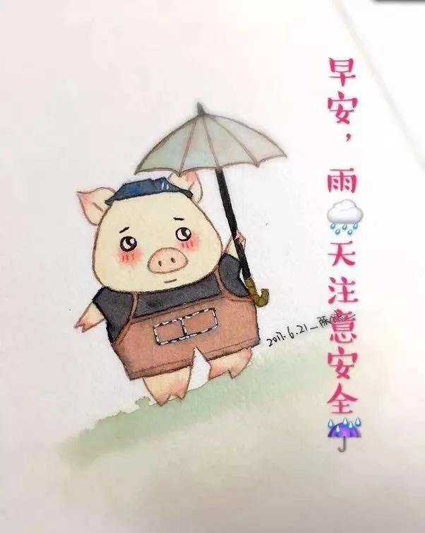 暖心的早上好问候短信祝福语录雨天温馨早上好漂亮图片问候语录