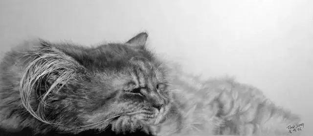 新手怎么画素描猫 9ee142a99d194557b61eee9361fbd3e2.jpeg