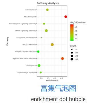 无代码高效绘制富集分析气泡图