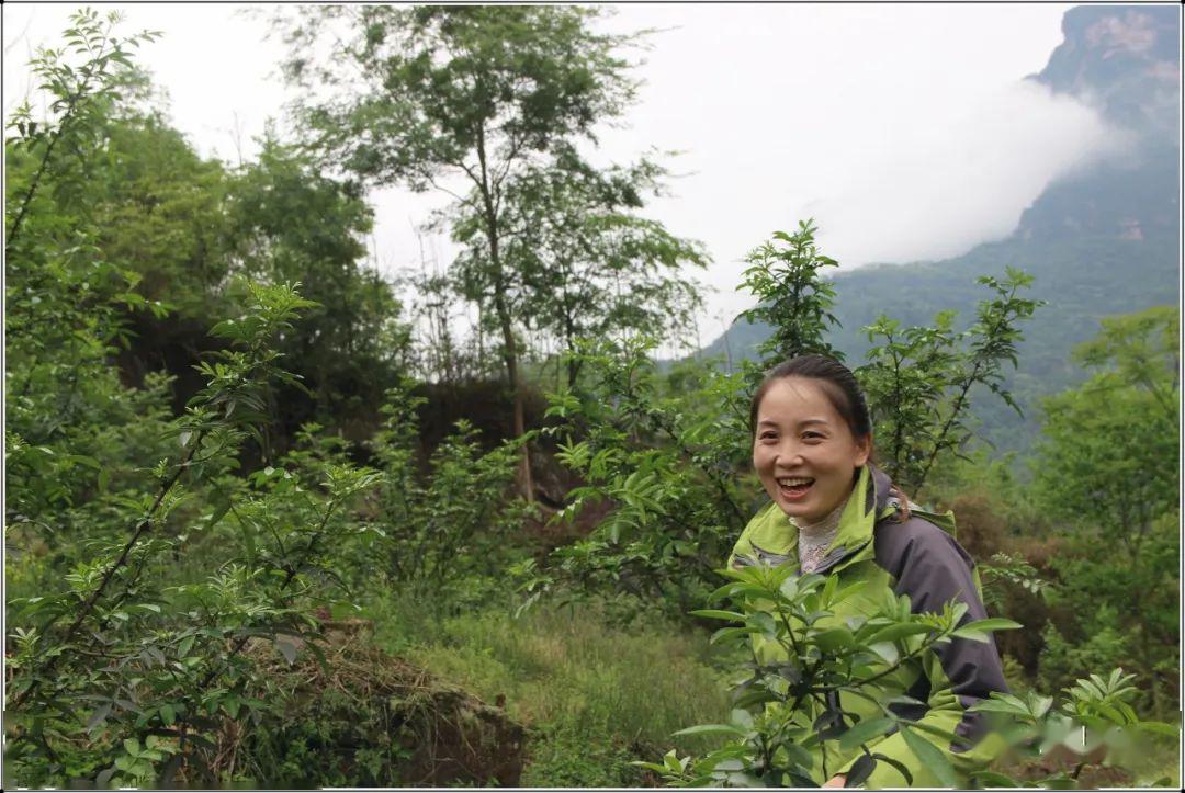 裕坪村郭燕林下养鸡绣风景