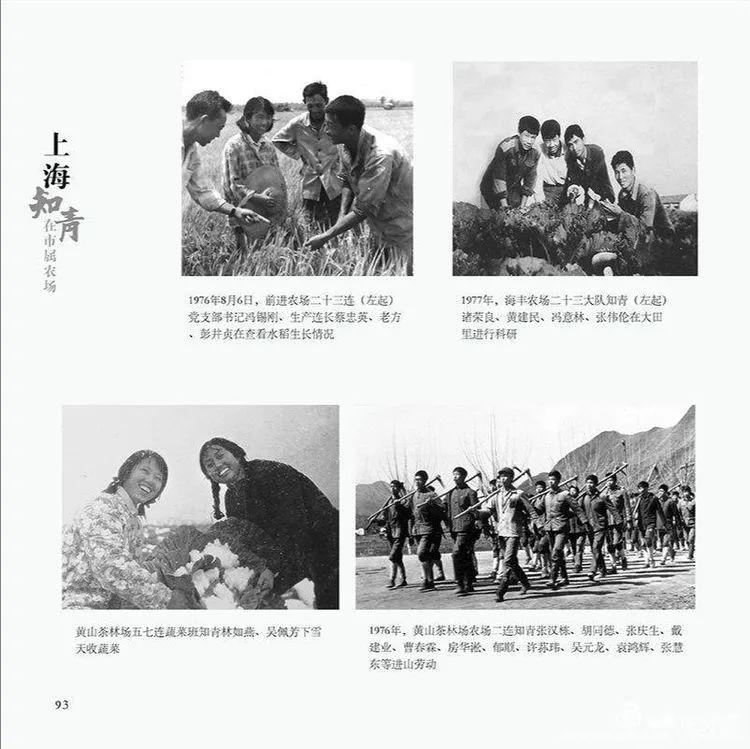 知青老照片上海知青在市属农场史册预订通知