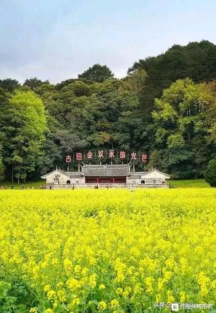 龙岩现有人口_龙岩学院