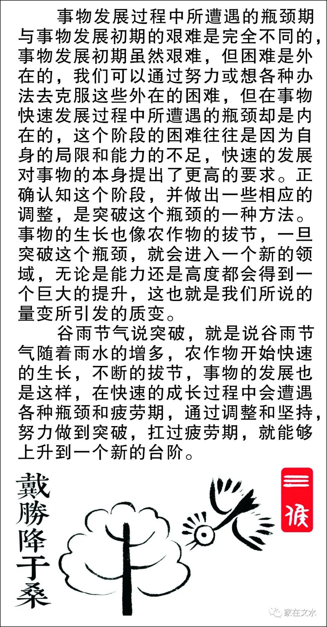 简谱谷雨_谷雨手抄报(2)