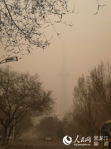 2020哈尔滨草市街烧_抗击疫情,草市街在行动20200304(2)