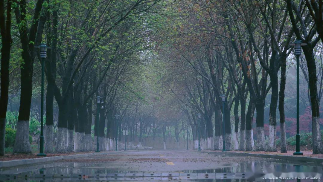 迎接4月的雨,想念还未回咱家的你!