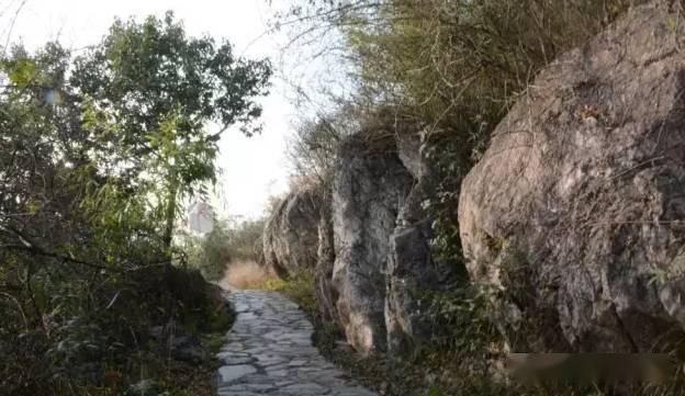 大箕村人口_杨箕村(3)