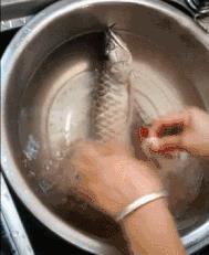ed890850b549449781061689ce66edff.jpeg