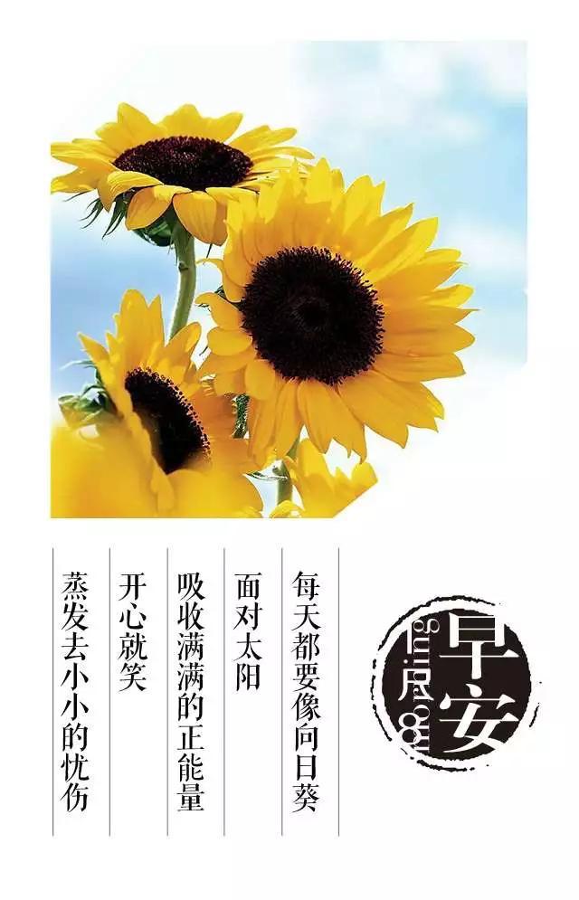 微信早晨温馨早安问候祝福语,特别暖心的早安图片