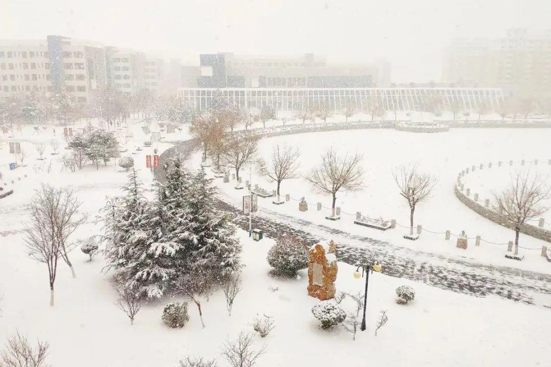 那一天,大雪纷飞, 雪花一片一片的落下,落在我们的肩头,也落在我们的