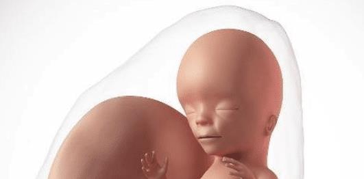 怎么抹防妊娠油避免胎儿脐带绕颈 f5c3c5fd17fe4e5891d7e7461a38465b.jpeg