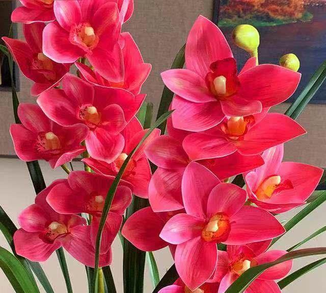 助眠鲜花品牌 013ce80613384204becf12ddd353147e.jpeg
