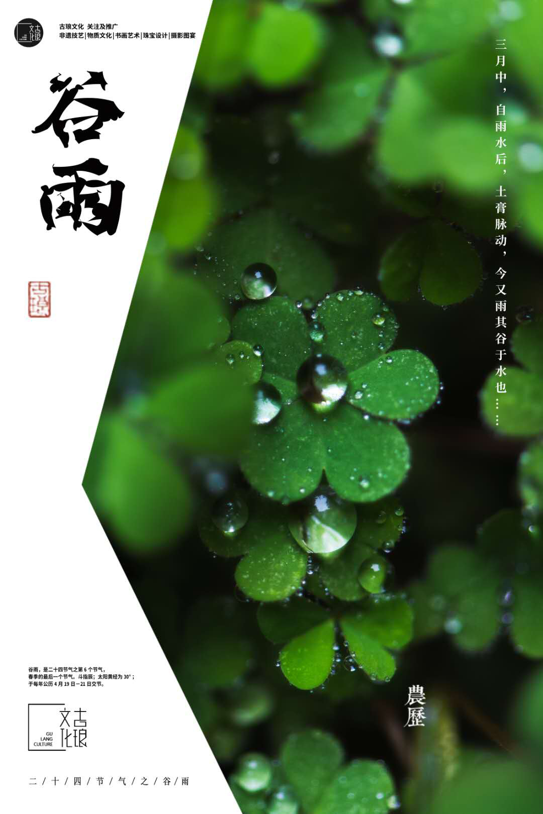 24节气谷雨