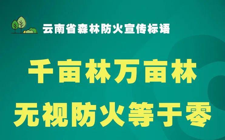 人口日标语_大气世界人口日宣传标语展板(2)