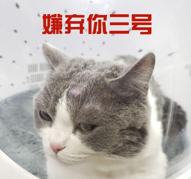 0921950595c14a679d02ef8638476890.jpeg