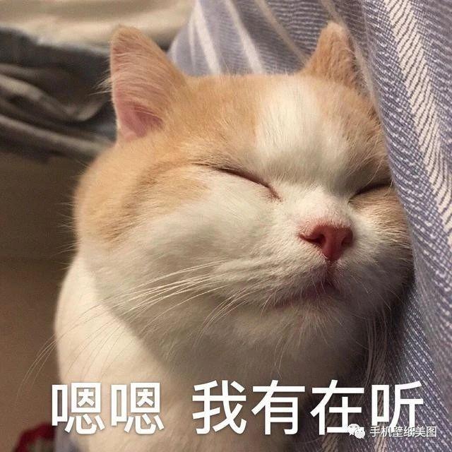 2020表情包搞怪,最新可爱表情包大全