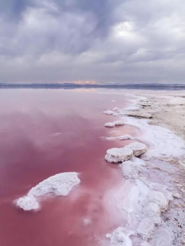 希勒湖在什么地方?希勒湖为什么是粉色的?