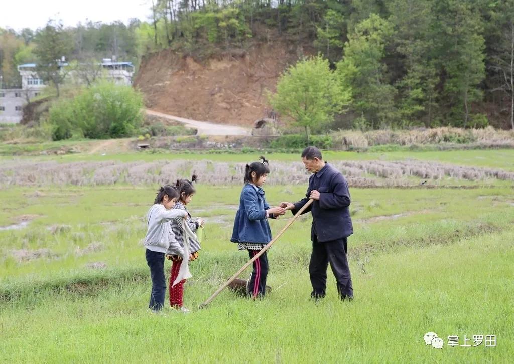 「时候」湖北12岁女孩小肩扛起家中“半边天”父亲失明母亲患病