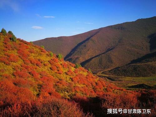 ��ף˫����:һ����Ϊ��֪�Ļƽ��ս