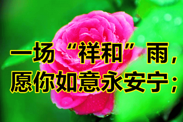 今天是谷雨,祝你心想事成节节高,开心快乐每一秒!