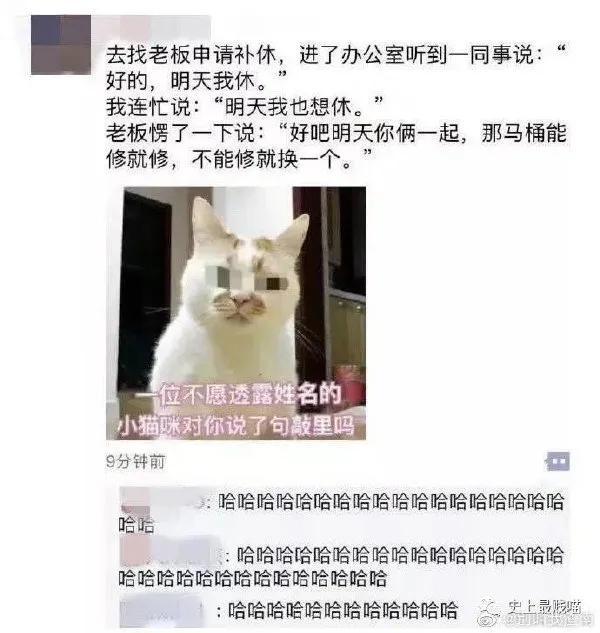 31bbaa98fbaf4a748545dc2ea64c53dc.jpeg