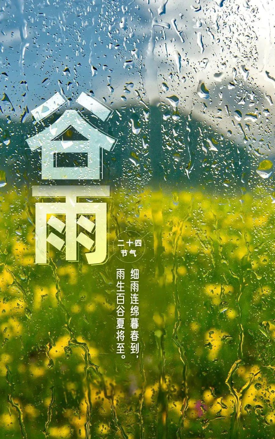 春归谷雨,夏至未至_仓颉