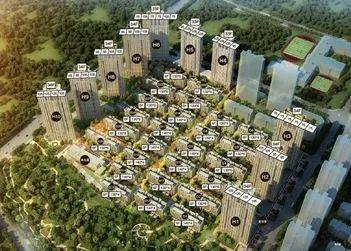 沉降后浇带预封闭施工怎么做?全流程实例解读!