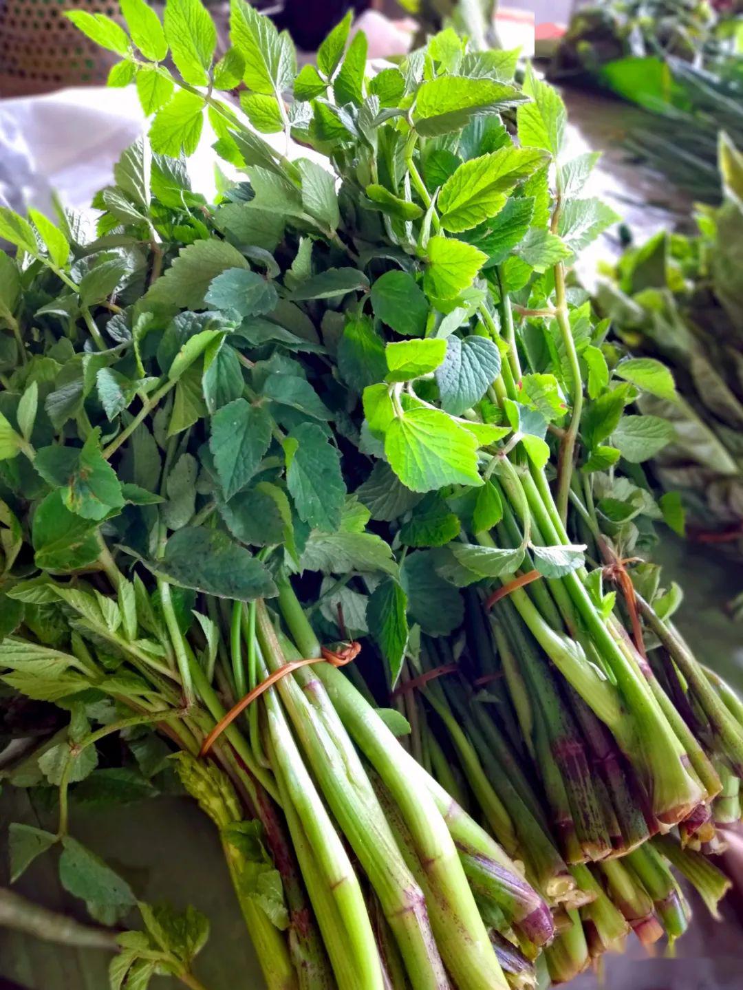 茅根竹蔗马蹄红萝卜水，清润初夏燥热|茅根|红萝卜|马蹄_新浪新闻