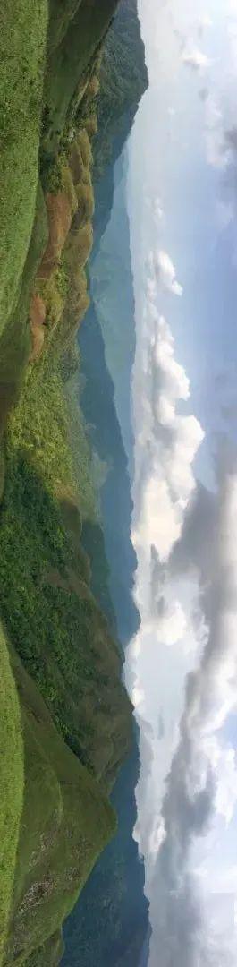 梦境般的草甸——上思十万大山六细高山牧场