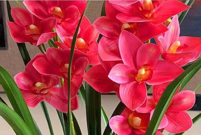 助眠鲜花品牌 4d04c498328a4026b18f2ec4a126196c.jpeg