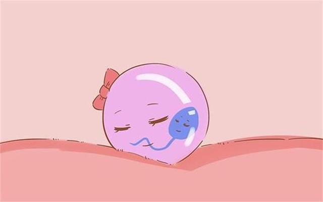 人流手术后多久可以同房,过早同房有危害