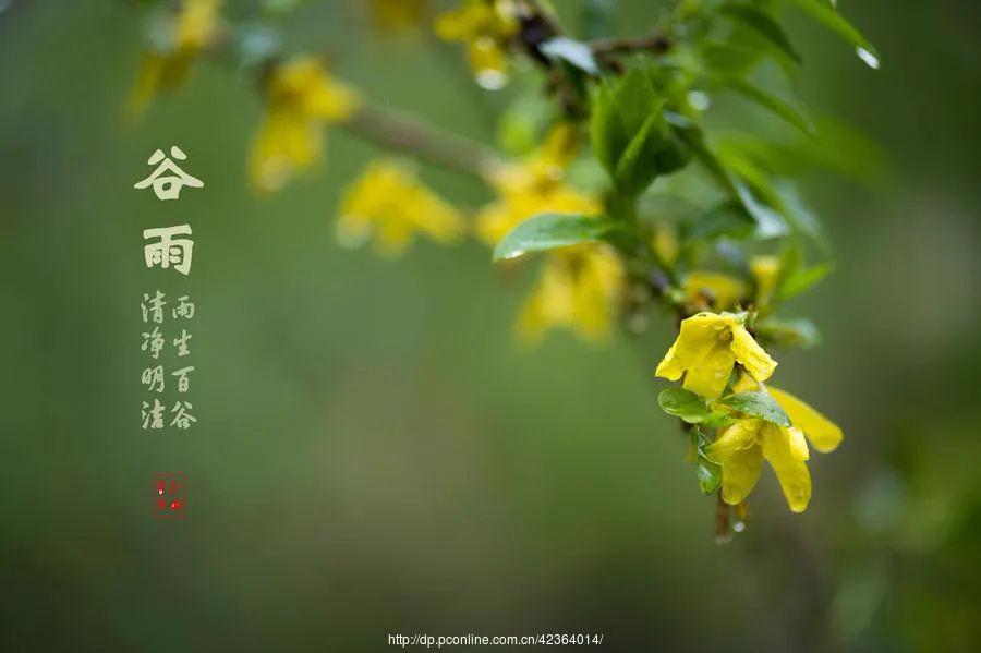 50f82cbdbe144380a79f67a643f15ae3.jpeg