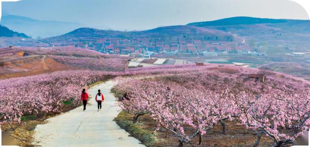 乡村旅游 | 黄山铺镇:这山这水,在春天里找寻你