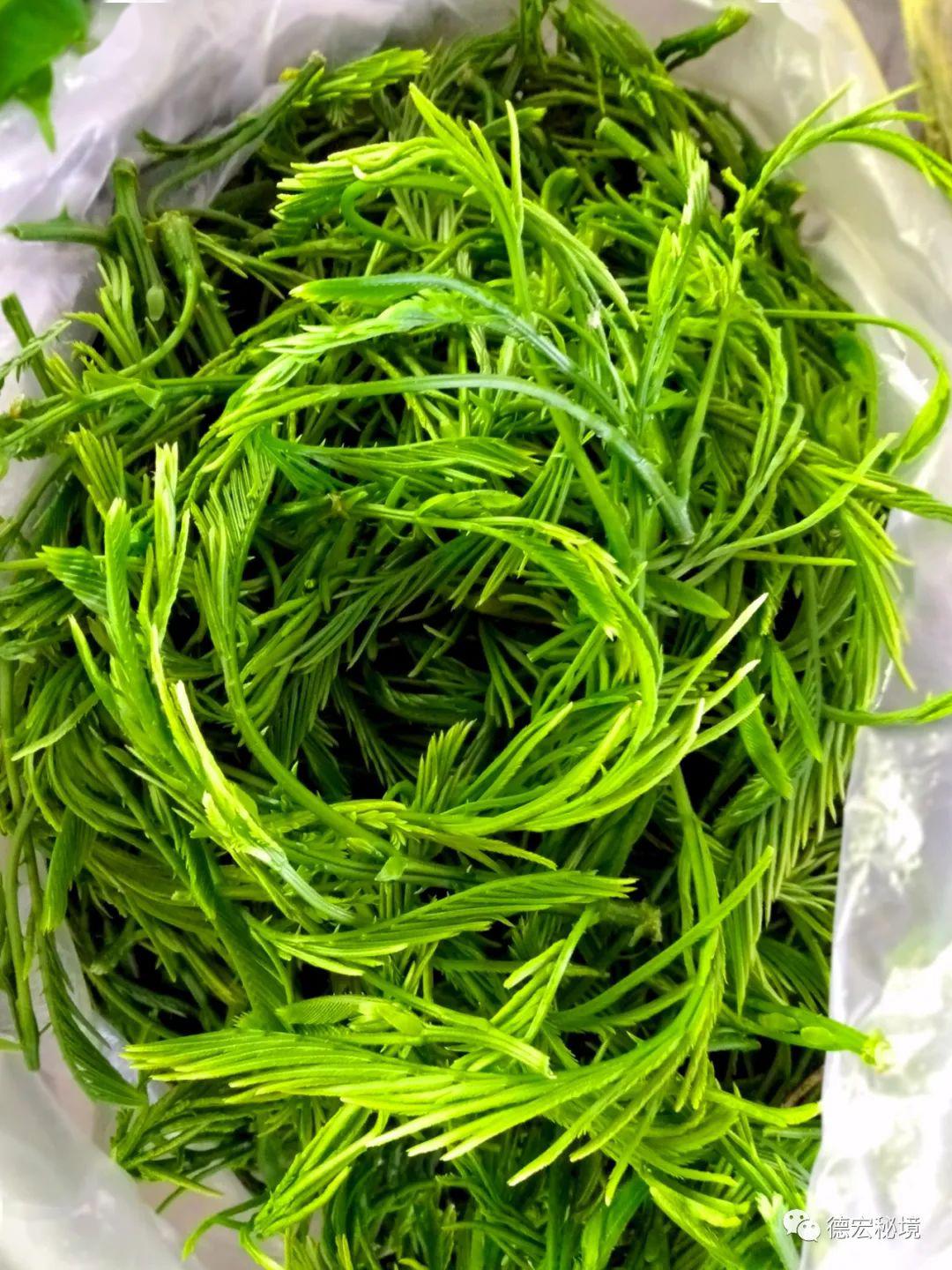 自然,生态的山茅野菜