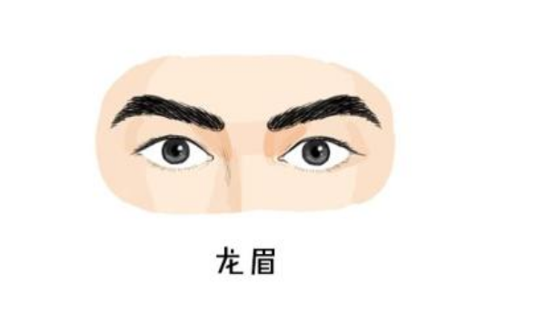"若是眉毛几乎成一字,并且清秀比较稀疏,在面相学中这种眉相被称为"龙
