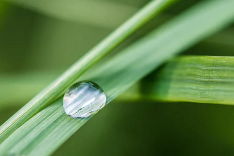 传承非遗谷雨水润万物雨生百谷