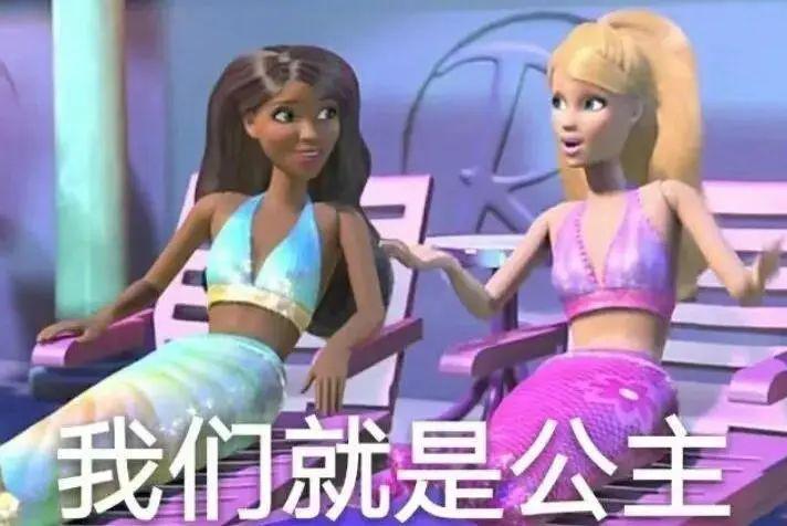 芥末分享会公主专用表情包对不起我就是公主