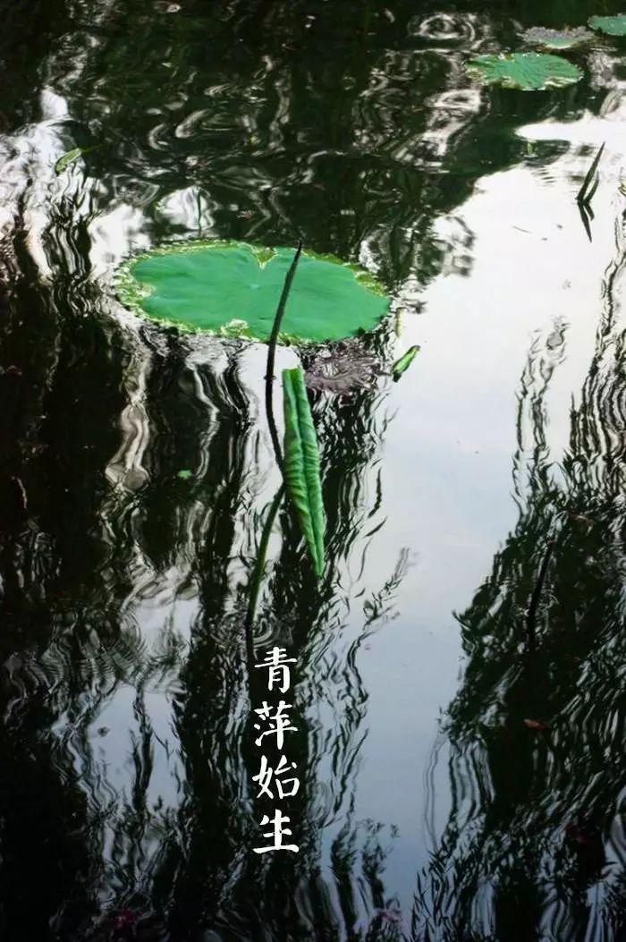 传承非遗谷雨水润万物雨生百谷