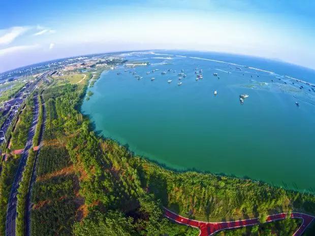 面积近100平方公里，投资概算约95亿元，建成后将形成环巢湖湿地公园群。