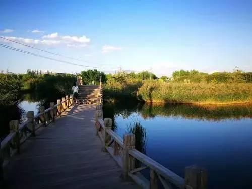 张掖湿地公园—兰州