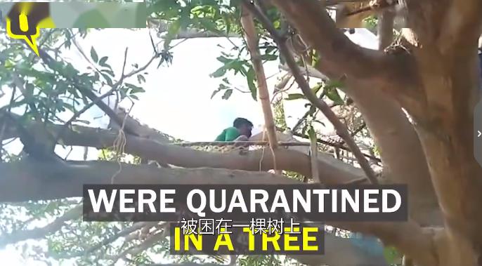 树上有个好地方搞笑片段 84b13b97119f4037b1159bb605f2c7d9.jpeg