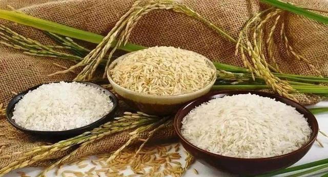 世界主要粮食出口国家及出口数量 858ea88d23c1452b92c8454eaf5a991e.jpeg