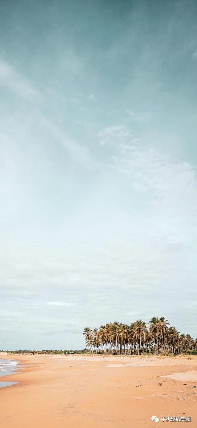 87dfade562a3400ea8903c29342115e2.jpeg