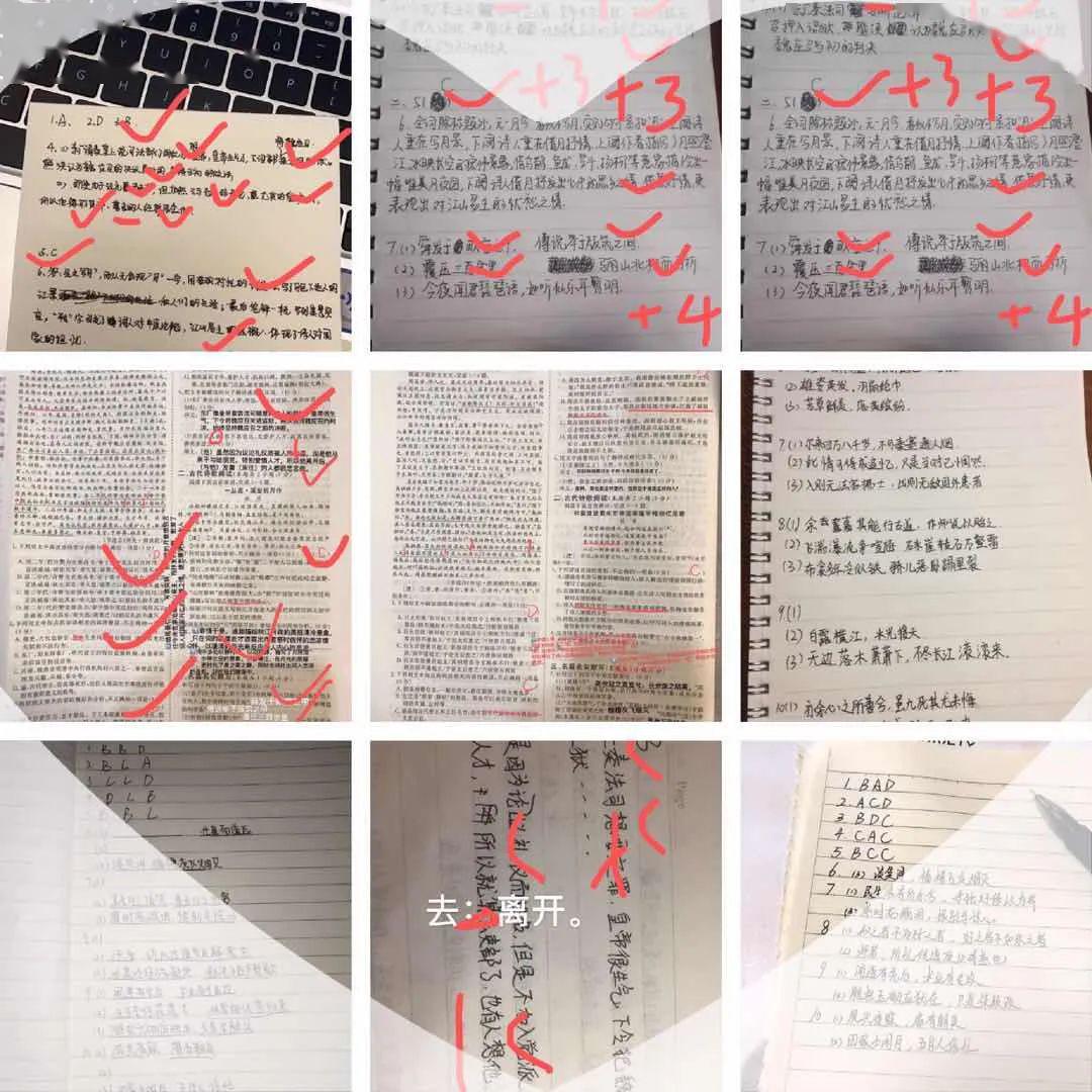8a188d4cafa84d548ca215ba73124ade.jpeg