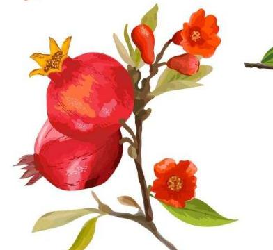 【民族团结一家亲】克拉玛依市 "华为杯·石榴花开"民族团结摄影大赛