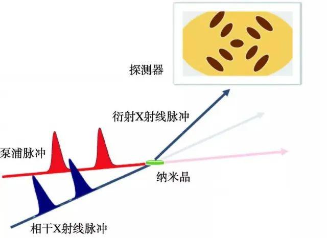 x射线自由电子激光原理现状及应用