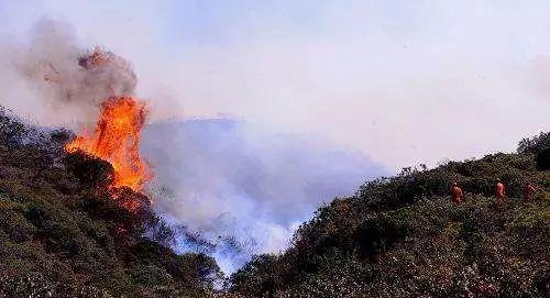 哪里发生山火了 93bf388e7d8c4053a96be3ed66665954.jpeg