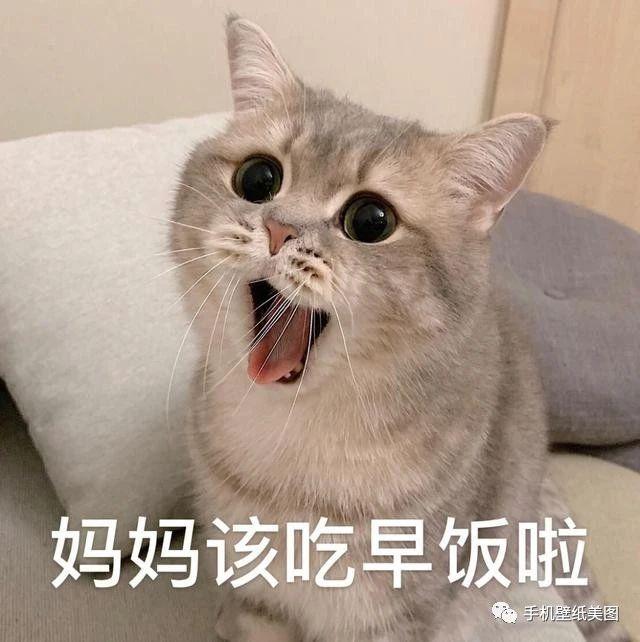 2020表情包搞怪,最新可爱表情包大全