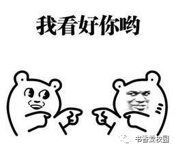 981bb2d32ef7427e81fe6f17dd868d72.png
